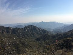 -大岭沟猕猴桃谷风景区