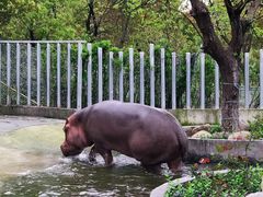 -常州淹城野生动物世界