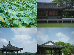 -尚湖风景区