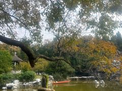 -花洲书院