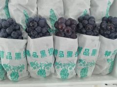 -双福水果批发市场