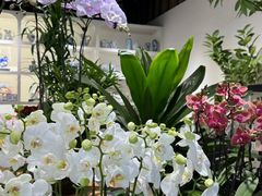 -花辰月夕花坊(北滨路店)