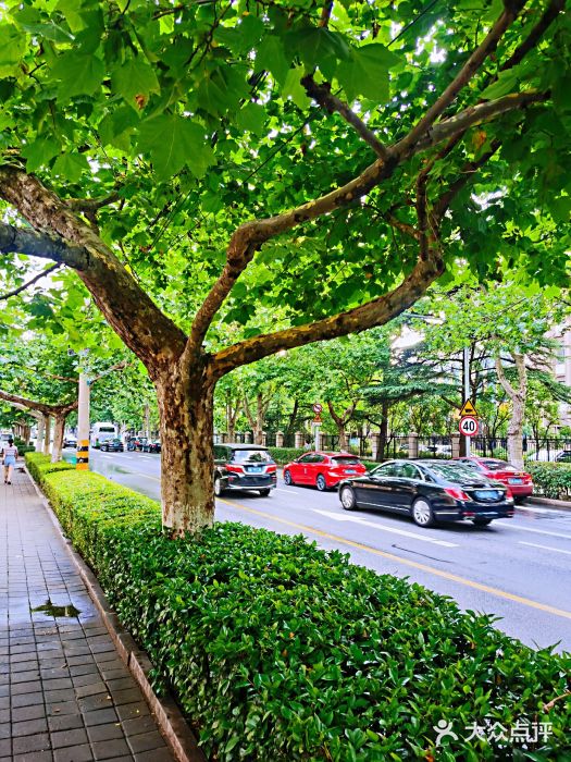 山东省青岛第二中学(江西路分校)图片