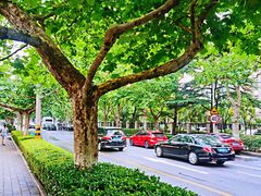 -山东省青岛第二中学(江西路分校)