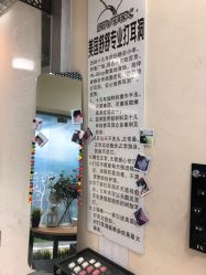 -Wisezone唯点穿耳打耳洞专业国际连锁品牌