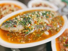 飞虹鱼-飞虹鱼馆(春华路店)