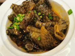 凉拌鱼皮-巴陵全鱼席(湖南老字号汴河街店 )