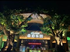 -杭州开元森泊度假乐园