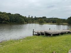 -福建鲤鱼洲酒店