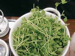 -烹然四季椰子鸡火锅(姚家园万象汇店)