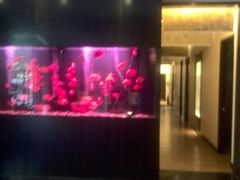 -大唐盲人按摩中心(黄山路店)