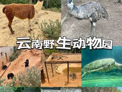 -云南野生动物园