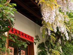 -浙江大学(玉泉校区)