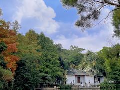 -深圳国际园林花卉博览园