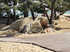 -老虎石海上公园