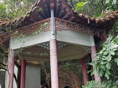 -天鹿湖森林公园