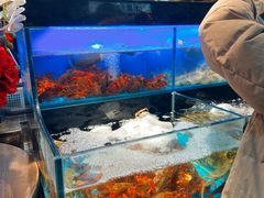 -苏格里岛自助烤肉海鲜火锅(成都金牛万达店)