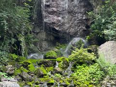 -幽岚山·童话森林
