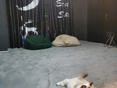 -零纪元VR体验馆·桌游(黄浦店)