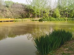 -开口笑·精选水饺