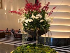 -新加坡文华东方酒店