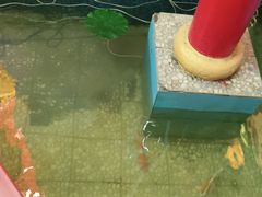 -玉田印象