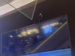 -Xcape异时刻密室逃脱魔法互动(瑞虹天地太阳宫店)