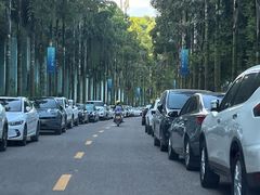 -重庆海昌加勒比海水世界