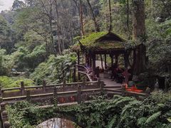 -青城山