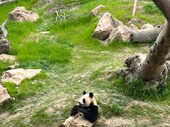 -宁波野生动物园