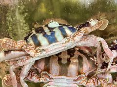 -岛中岛·海鲜大排档·万宁老字号(东澳店)