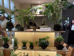 -本处·素食·融合料理(南油店)