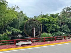 -西安国际创新人才交流中心•药浴温泉