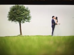 点击看大图 -太郎花子婚纱摄影艺术中心