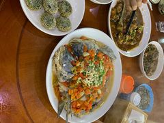 -全乐鱼馆·淳牌有机鱼直营店
