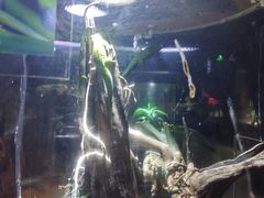 -萌宠奇缘(荣鼎店)