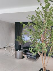 -付军剪艺JF ProSalon