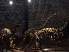 -世界恐龙谷景区