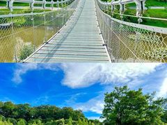 -东莞植物园