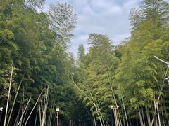-穹窿山景区