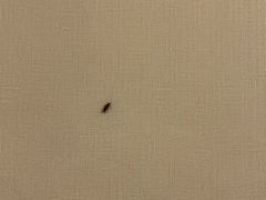 -曼骊酒店(深圳南山海岸城店)