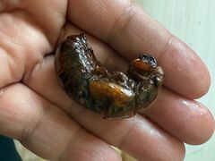 -山东宾馆·齐鲁苑餐厅