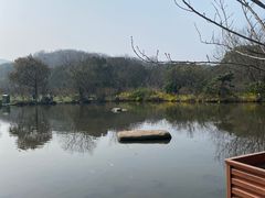 -白马涧龙池景区