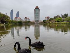 -厦门大学(思明校区)