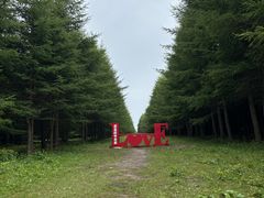 -空中草原