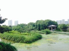 iphone_upload_pic-蠡湖中央公园