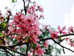 -文华公园(禅城区)