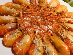 白灼罗氏虾-79号渔船海鲜饭店(华强北店)