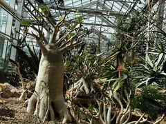 -国家植物园南园