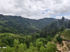 -长沙黑麋峰国家森林公园